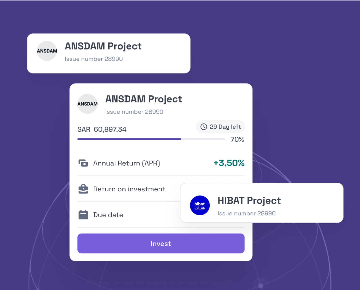 Investment Projects